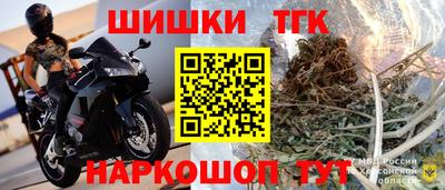 гидропоника Гусев