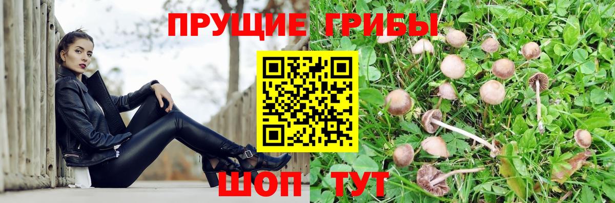 Псилоцибиновые грибы Magic Shrooms  Вход с VPN  Москва 