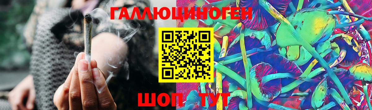 Галлюциногенные грибы мицелий Москва